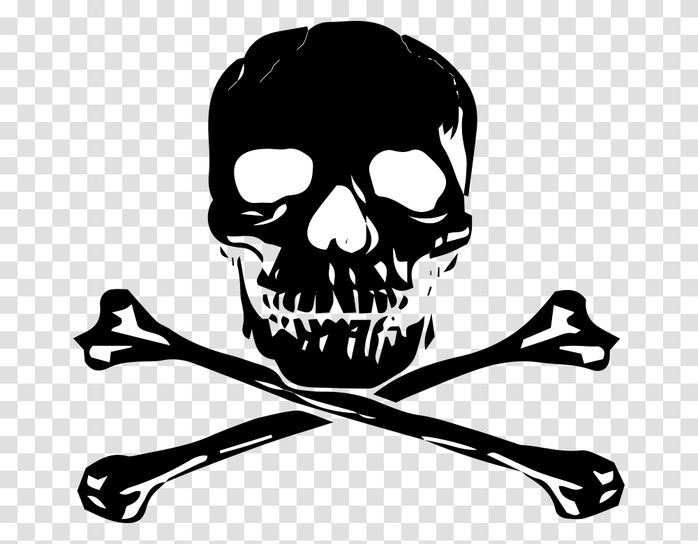 Skull, Pirate Transparent Png