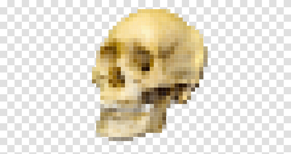 Skull Pixel Australopithecus And Homo Sapiens, Accessories, Accessory, Jewelry, Rug Transparent Png