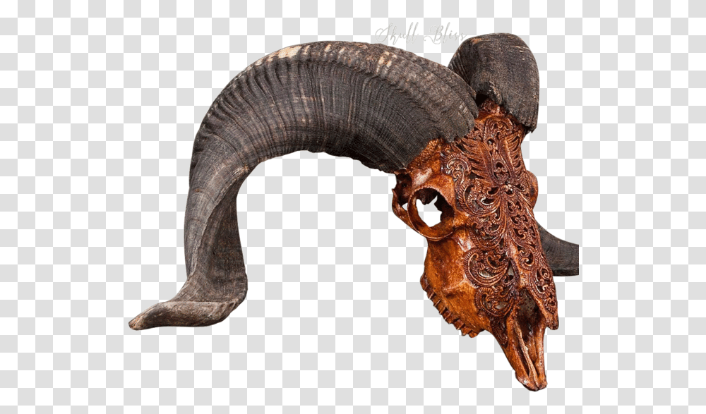 Skull Ram Skull, Animal, Mammal, Elephant, Wildlife Transparent Png