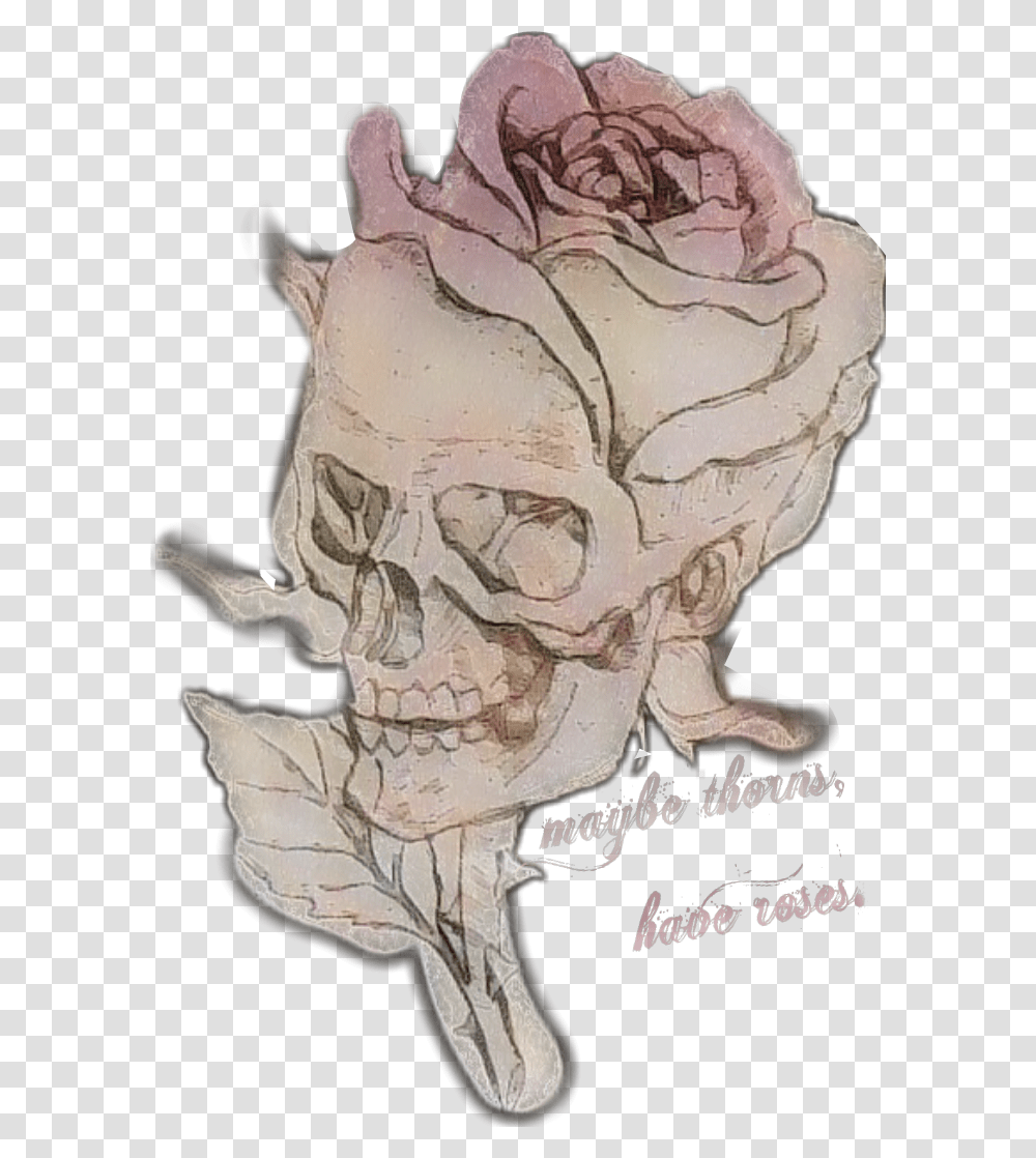 Skull Remix Roses Thorns Thornshavrroses Rose Illustration, Head, Pottery, Drawing Transparent Png