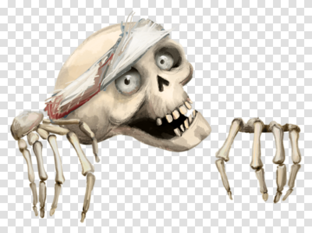 Skull, Skeleton, Bird, Animal, Alien Transparent Png