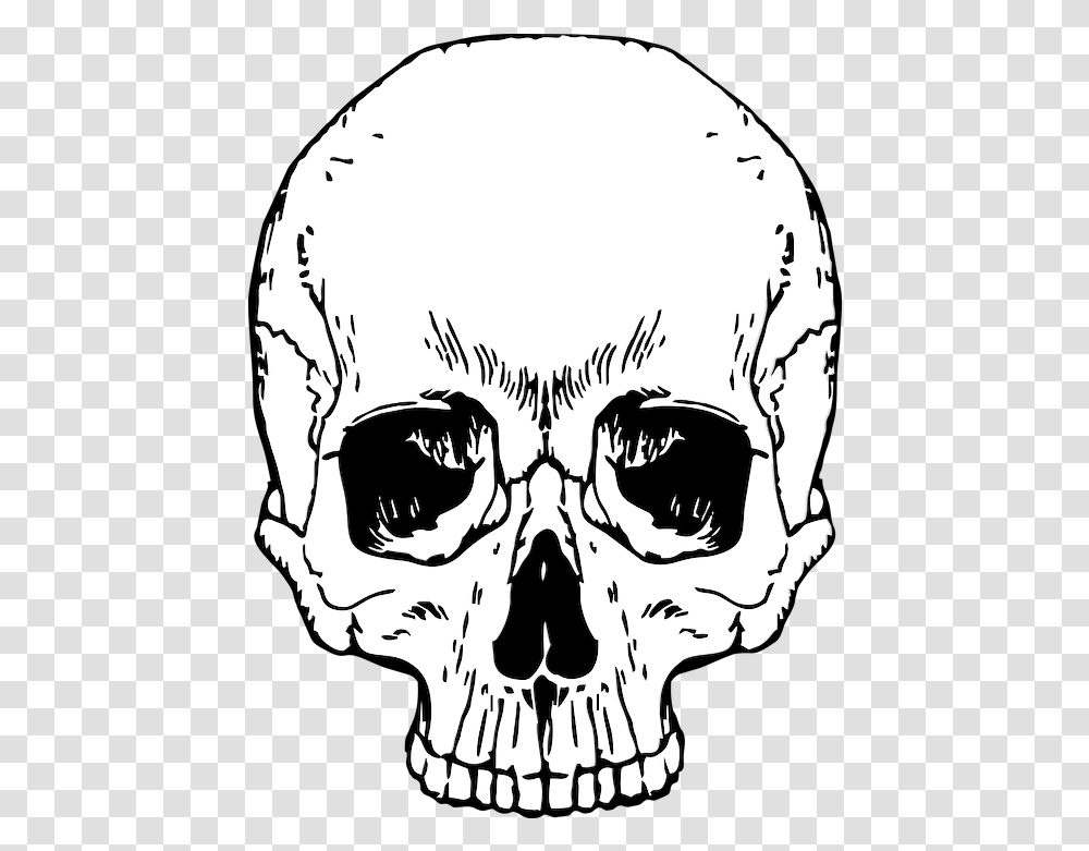 Skull Skeleton Halloween Skull And Crossbones, Stencil, Drawing, Art, Sketch Transparent Png