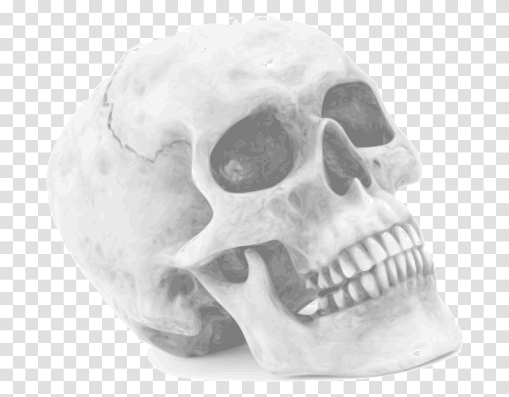 Skull Skeleton Human Halloween Skull, X-Ray, Ct Scan, Medical Imaging X-Ray Film, Jaw Transparent Png