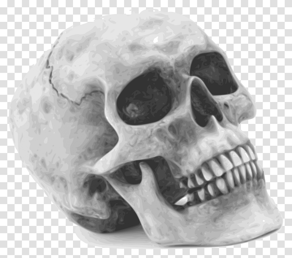 Skull Skeleton Human Remains Anatomy Human Remains Halloween Skull, Helmet, Apparel, Jaw Transparent Png