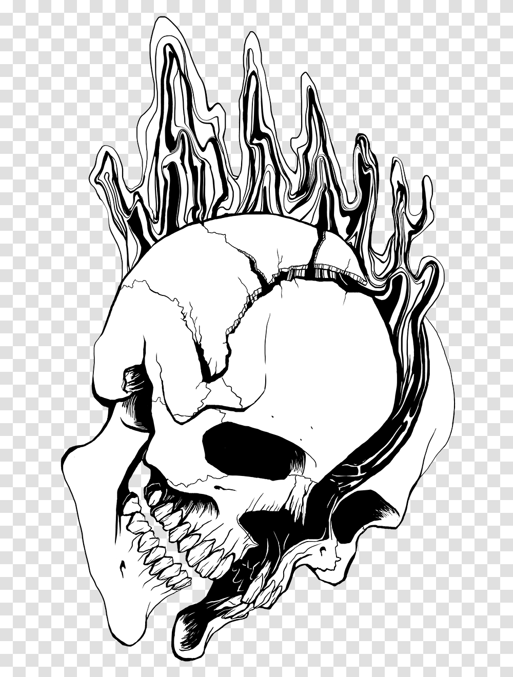 Skull Split Split Skull Art, Drawing, Stencil, Head, Doodle Transparent Png