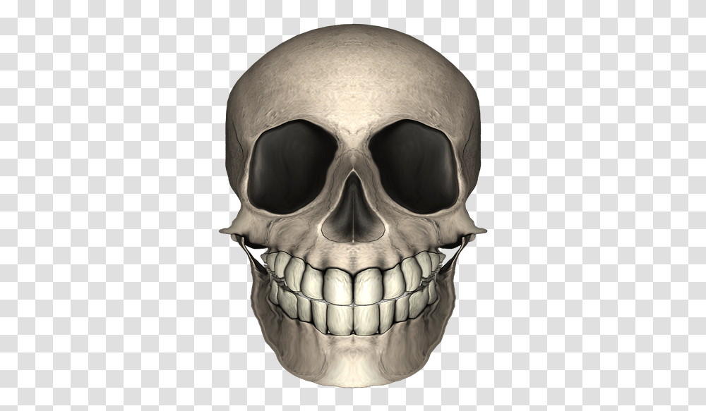 Skull, Sunglasses, Accessories, Accessory, Person Transparent Png