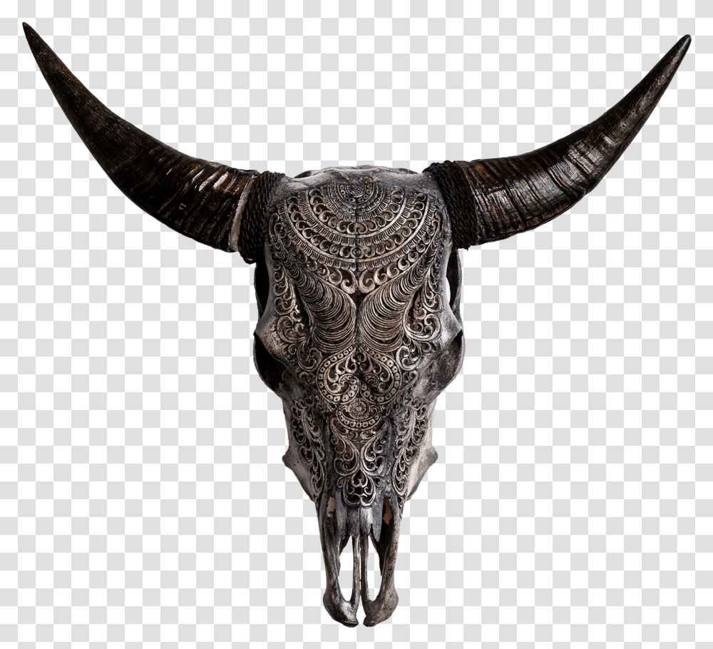 Skull Variant Skull Only Cow Skulls, Bull, Mammal, Animal, Longhorn Transparent Png