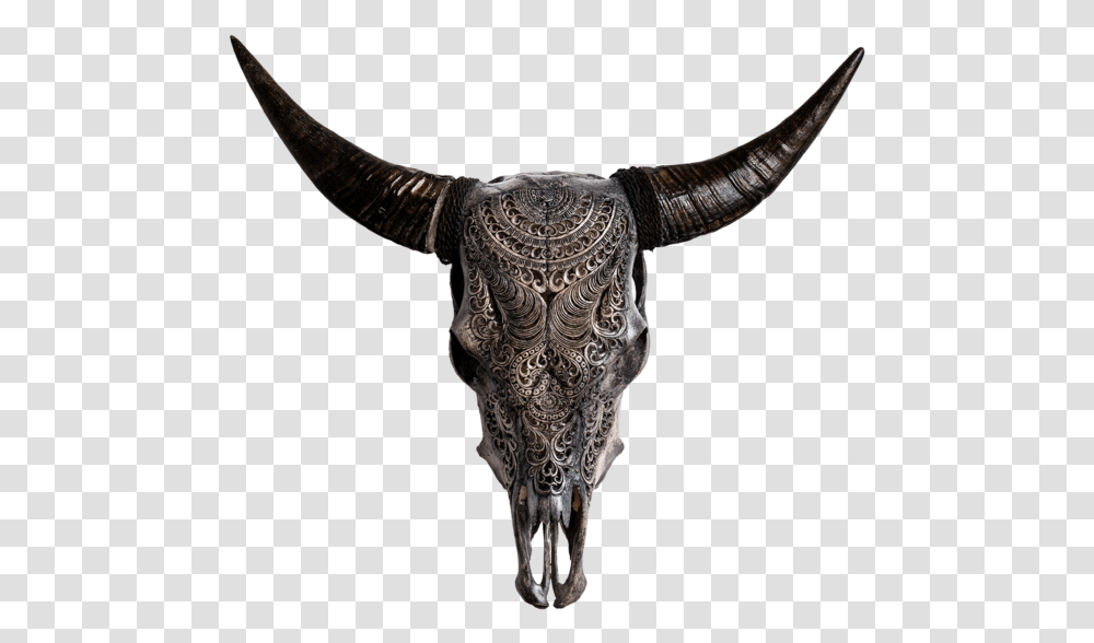 Skull Variant Skull Only Cow Skulls, Bull, Mammal, Animal, Longhorn Transparent Png