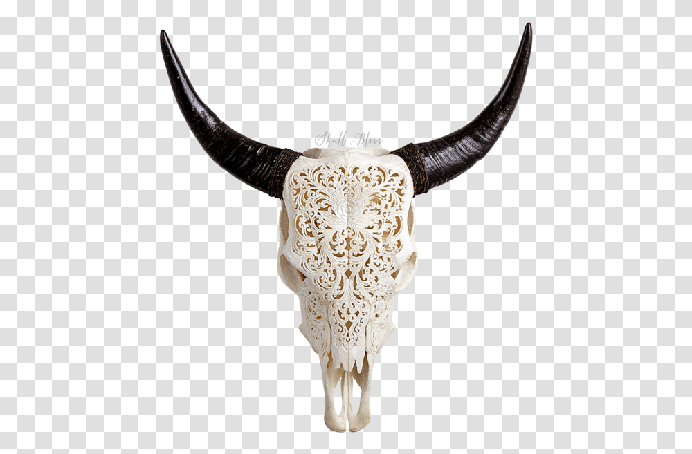 Skull Variant Skull Only Skull Bliss, Cattle, Mammal, Animal, Longhorn Transparent Png