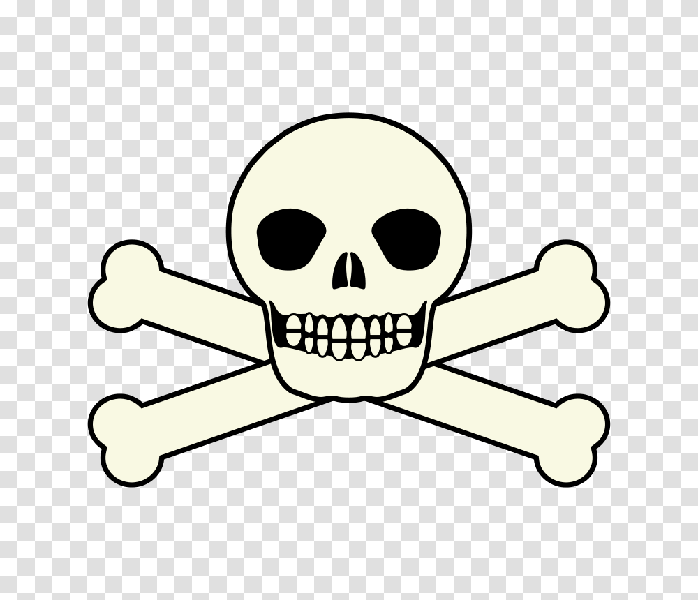 Skull Vector Free, Pirate, Emblem, Logo Transparent Png
