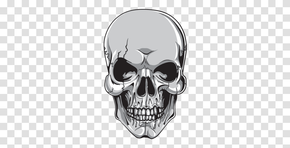 Skull Vector, Stencil, X-Ray, Ct Scan, Medical Imaging X-Ray Film Transparent Png