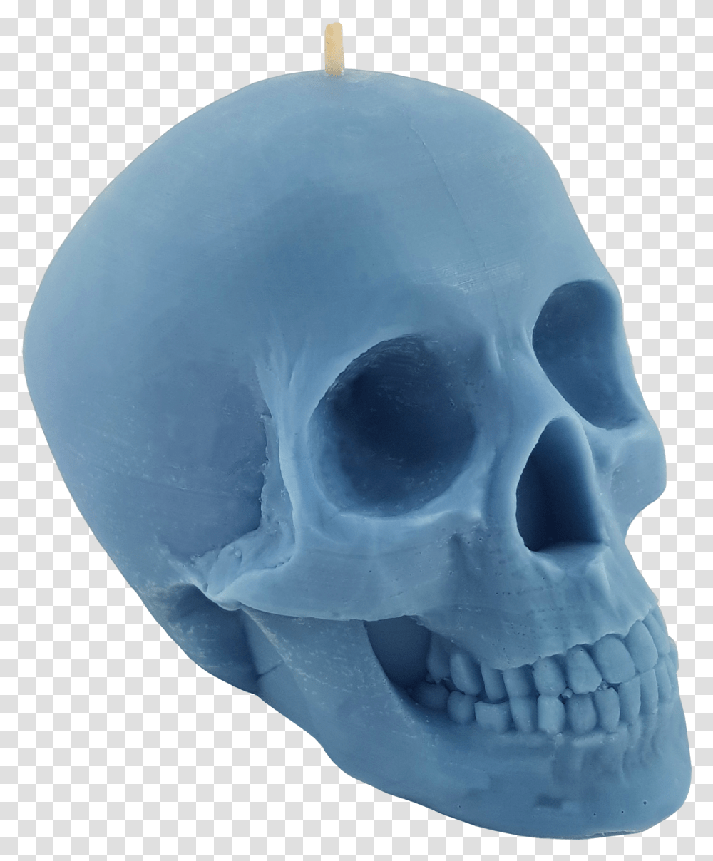 Skull, X-Ray, Ct Scan, Medical Imaging X-Ray Film, Snowman Transparent Png