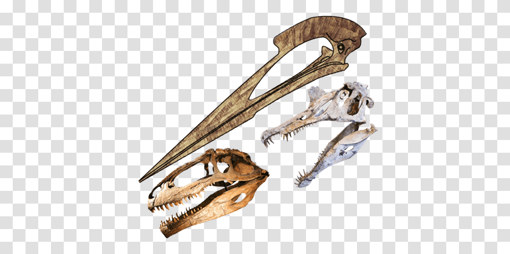 Skulls Length Comparison Of Hatzegopteryx Spinosaurus, Staircase, Animal, Dinosaur, Reptile Transparent Png