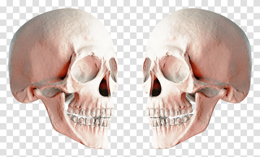 Skulls, Person, Human, Teeth, Mouth Transparent Png