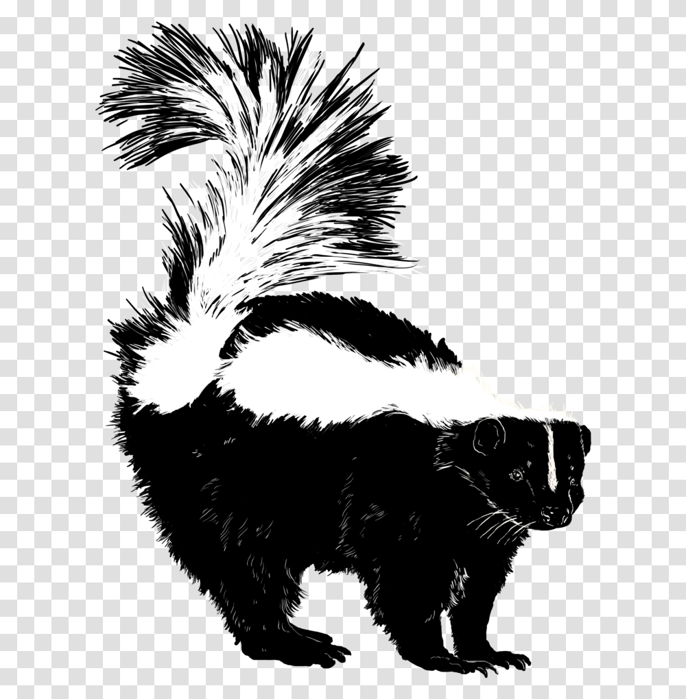 Skunk, Animal, Mammal, Wildlife, Bird Transparent Png