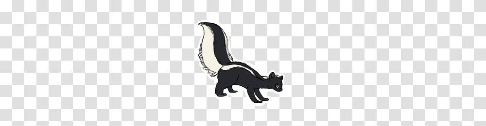 Skunk, Animals, Mammal, Wildlife, Hammer Transparent Png