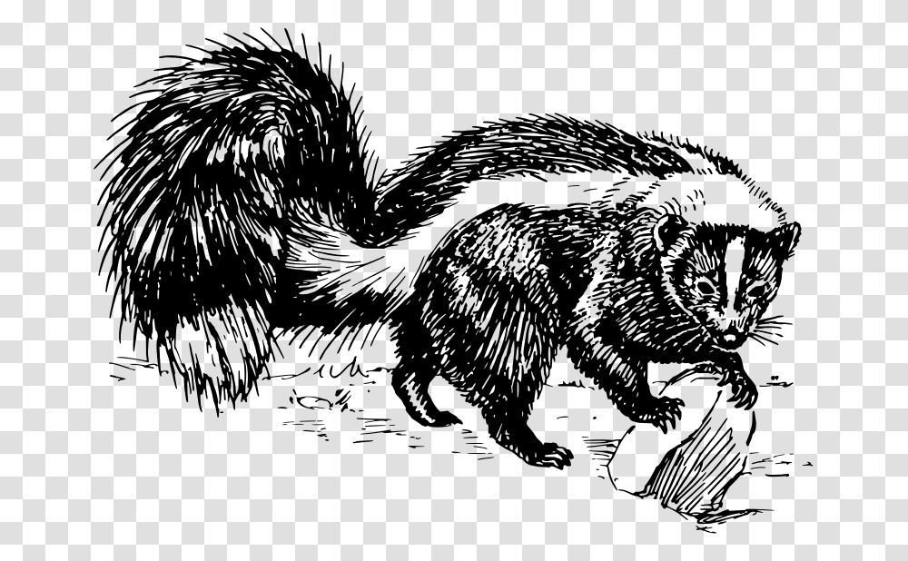 Skunk Black And White, Gray, World Of Warcraft Transparent Png