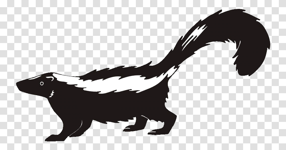 Skunk Clipart Skunk Clipart, Wildlife, Animal, Mammal Transparent Png