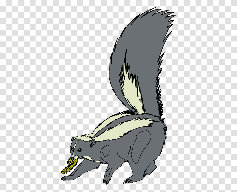 Skunk Cliparts, Wildlife, Animal, Mammal, Bird Transparent Png