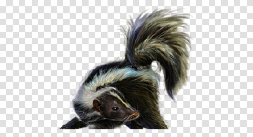 Skunk Images Striped Skunk, Wildlife, Animal, Mammal Transparent Png