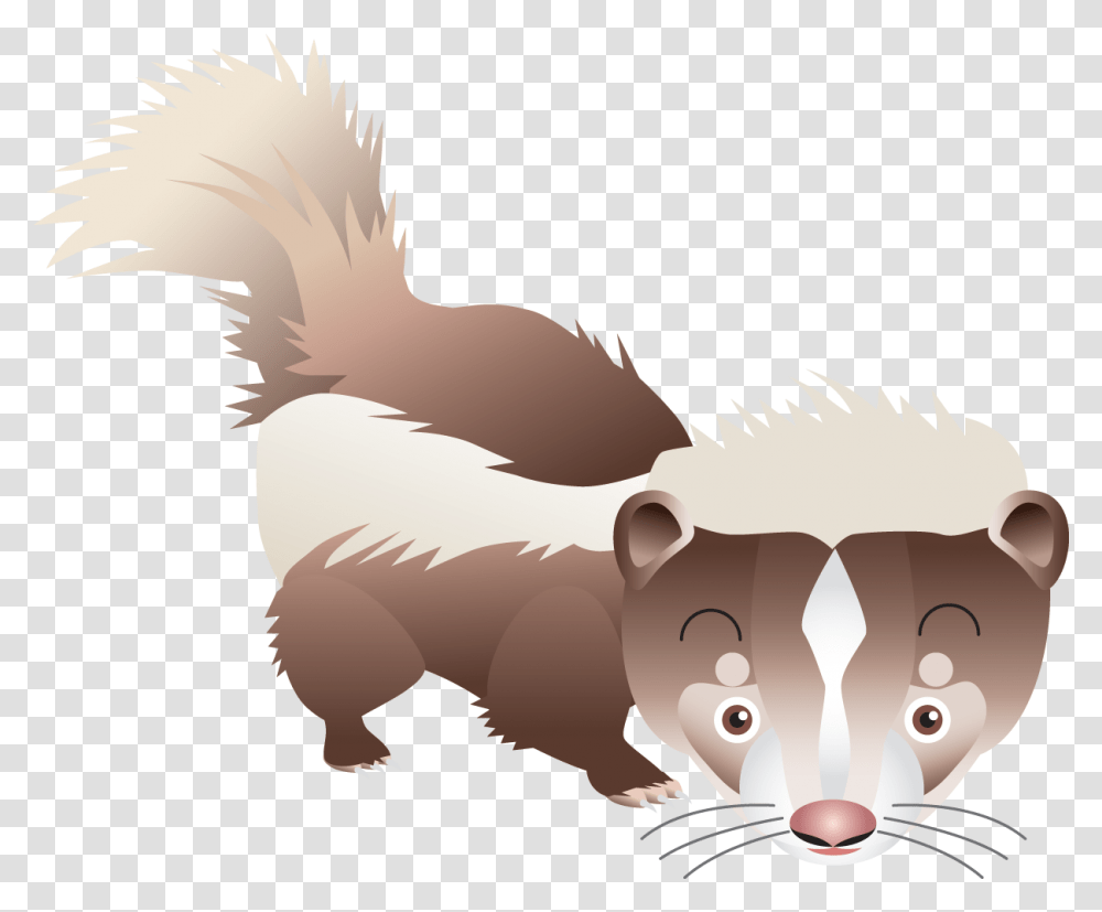 Skunk In Clip Art, Weasel, Wildlife, Mammal, Animal Transparent Png