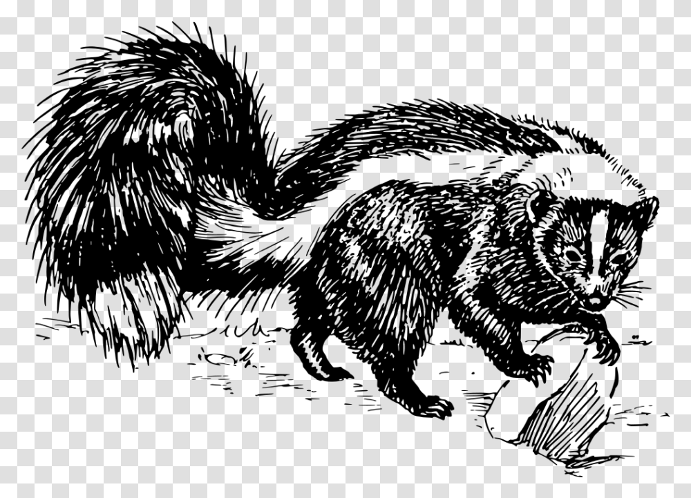 Skunk Skunk Black And White Clipart, Gray, World Of Warcraft Transparent Png