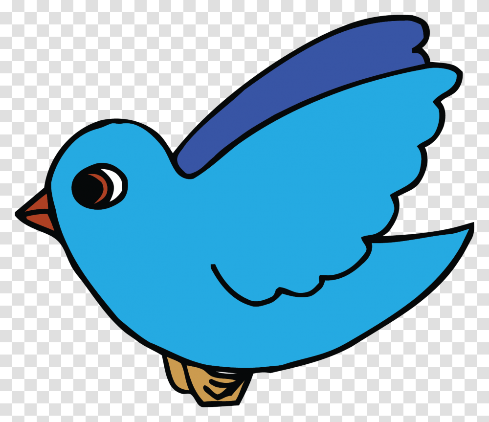 Sky Blue Bird Clipart, Animal, Jay, Bluebird, Blue Jay Transparent Png
