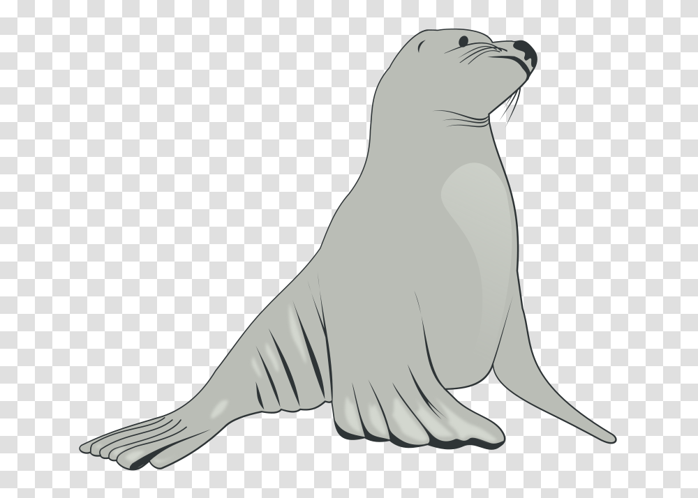 Sky Diver Hippo Clipart Vector Clip Art Online Royalty Free, Sea Lion, Mammal, Sea Life, Animal Transparent Png