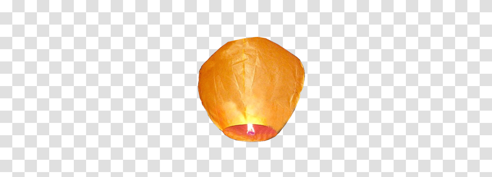 Sky Lantern, Holiday, Lamp, Plant, Lampshade Transparent Png