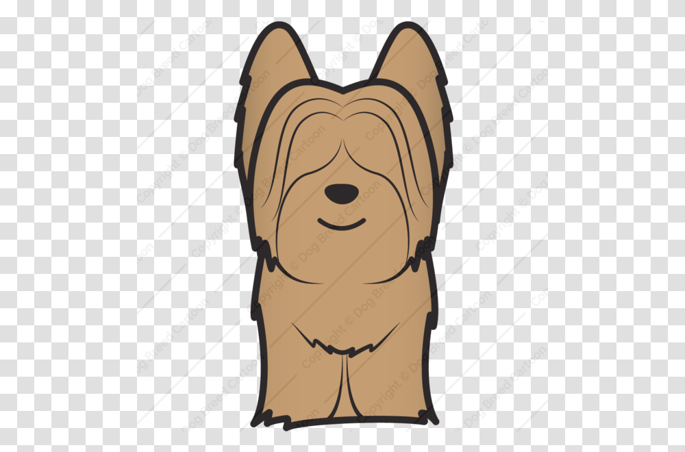 Skye Terrier, Pet, Animal, Cardboard, Mammal Transparent Png
