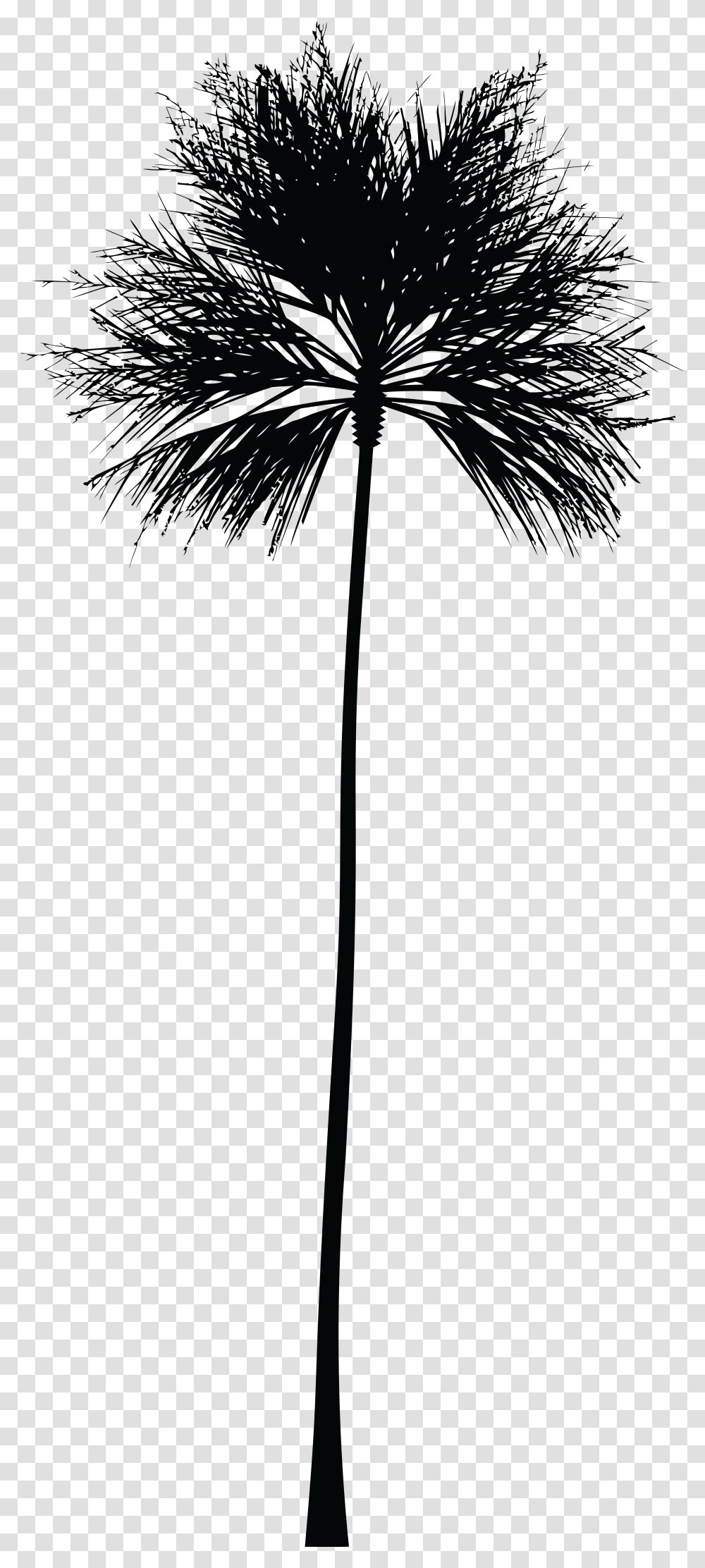 Skyline Clipart Palm Tree Black Palm Tree, Cross, Canopy, Umbrella Transparent Png