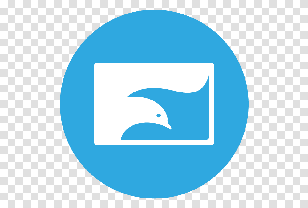 Skype Logo Clipart Download Twitter Circle Icon, Bird, Animal, Kiwi Bird Transparent Png