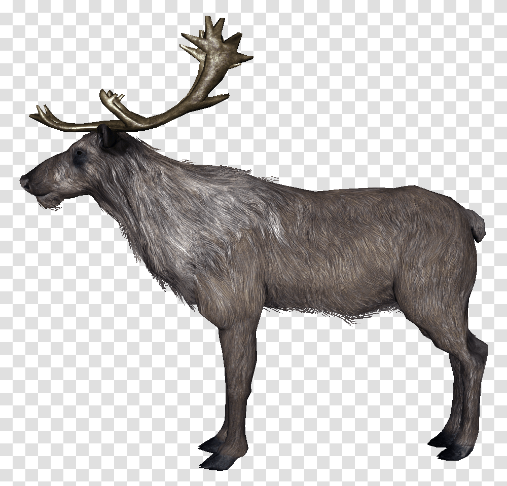 Skyrim Deer, Antelope, Wildlife, Mammal, Animal Transparent Png