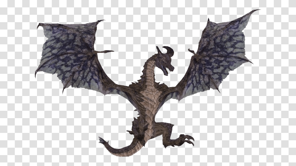 Skyrim Dragon, Animal, Mammal, Wildlife, Bat Transparent Png