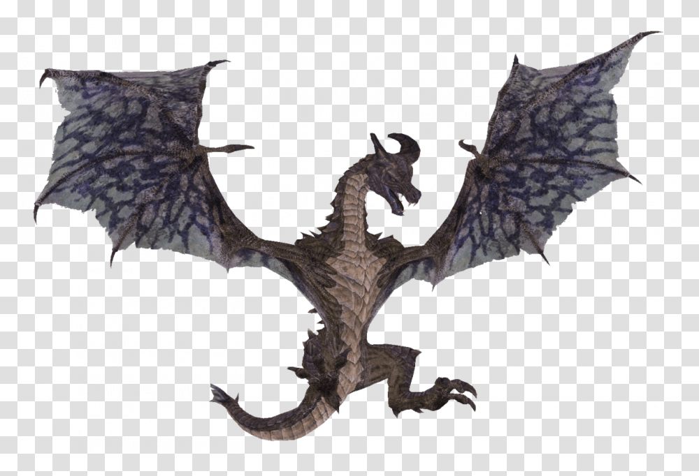 Skyrim Dragon Skyrim Dragon, Bird, Animal, Dinosaur, Reptile Transparent Png