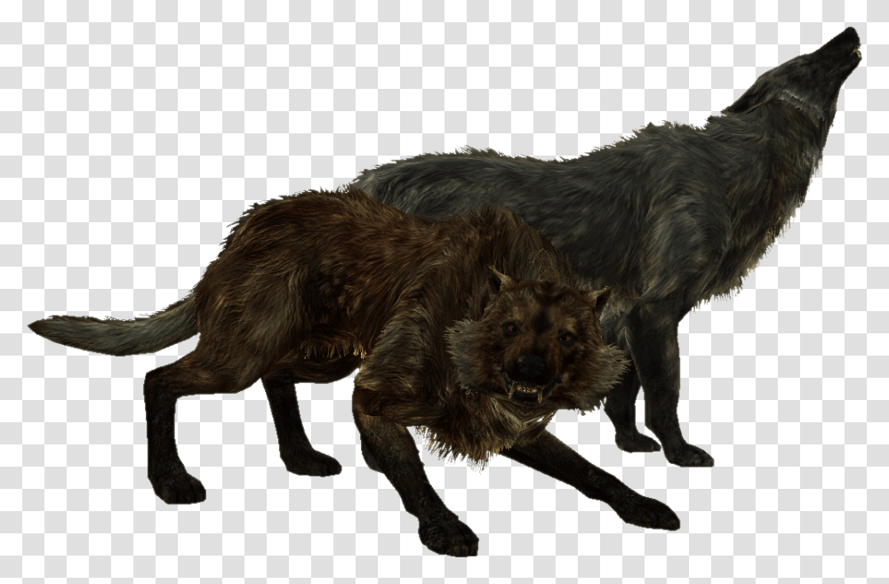 Skyrim Wolf, Dog, Pet, Canine, Animal Transparent Png