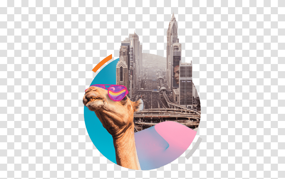 Skyscraper, City, Urban, Building, High Rise Transparent Png