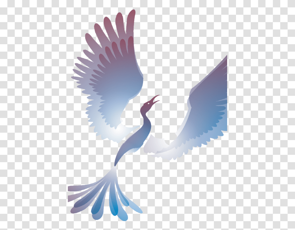 Skyward Realty Gruiformes, Flying, Bird, Animal, Eagle Transparent Png