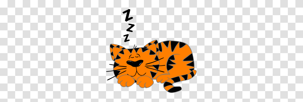 Sleep Clipart, Dynamite, Bomb, Weapon, Wasp Transparent Png