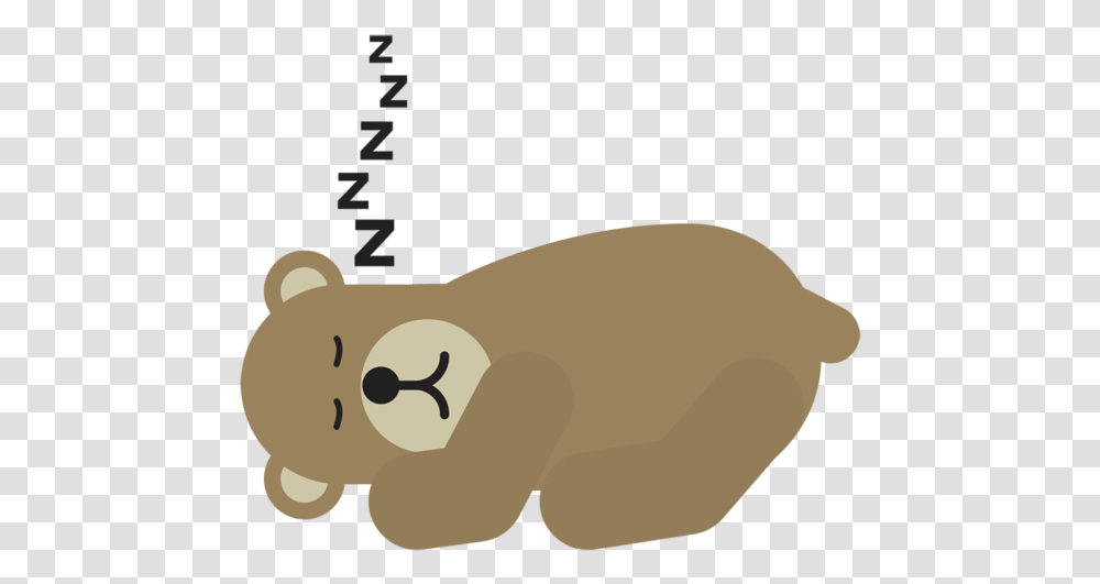 Sleeping Bear, Animal, Mammal, Wildlife, Giant Panda Transparent Png