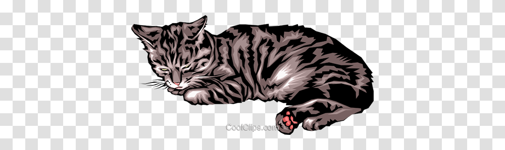 Sleeping Cat Royalty Free Vector Clip Art Illustration, Mammal, Animal, Wildlife, Zebra Transparent Png