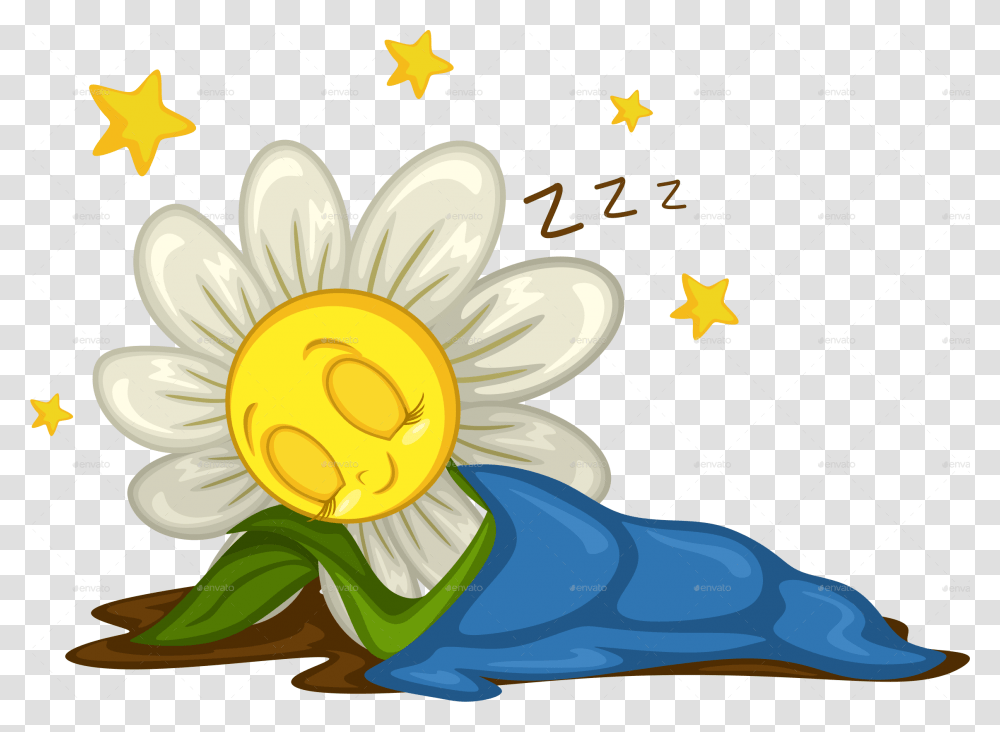 Sleeping Daisy, Plant, Flower Transparent Png