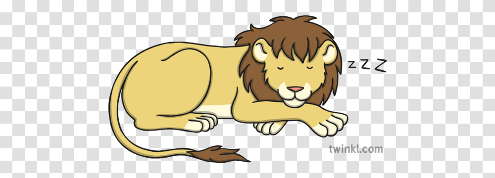 Sleeping Lion 1 Illustration Animal Figure, Mammal, Wildlife, Beaver, Rodent Transparent Png