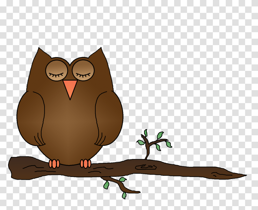 Sleeping Owl Clipart Clip Art, Beak, Bird, Animal, Jay Transparent Png