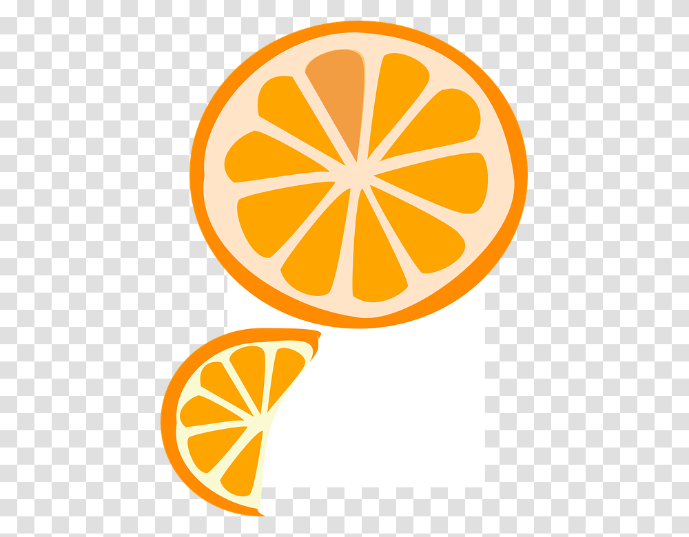 Slice Fruit Orange Wedge Vitamin Citrus Slices Cartoon Orange Slice, Plant, Citrus Fruit, Food, Lemon Transparent Png