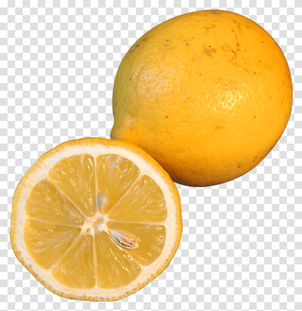 Slice Lemon Lemons Slices, Citrus Fruit, Plant, Food, Orange Transparent Png