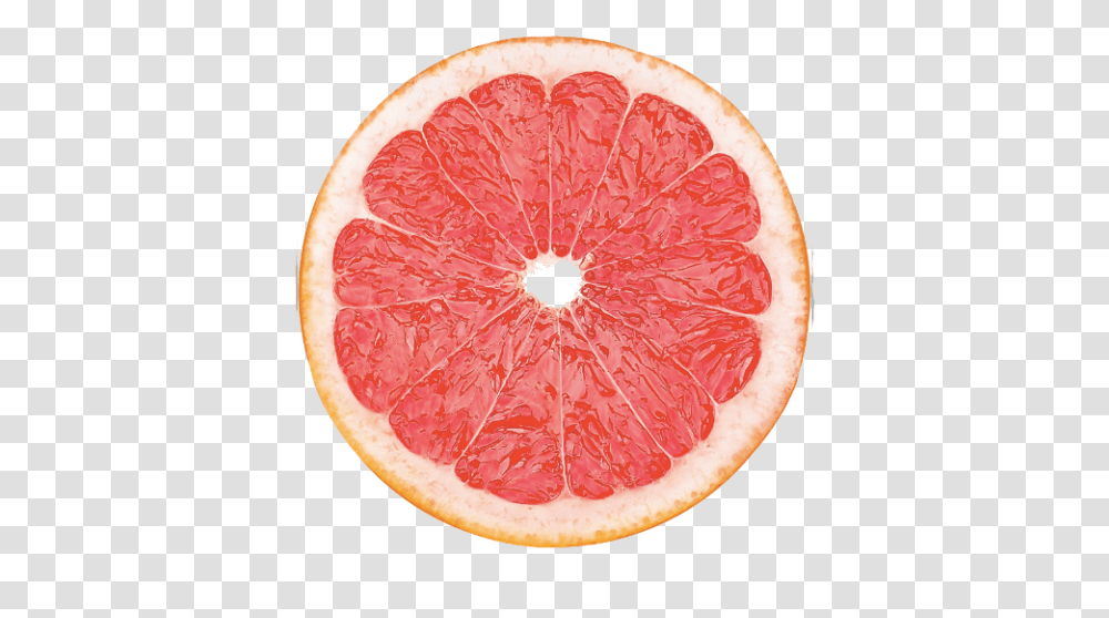 Slice Of Grapefruit Grapefruit Slice, Plant, Citrus Fruit, Produce, Food Transparent Png