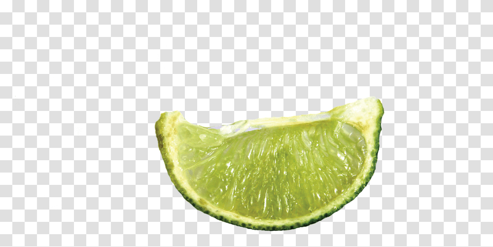 Slice Of Lime, Citrus Fruit, Plant, Food, Lemon Transparent Png
