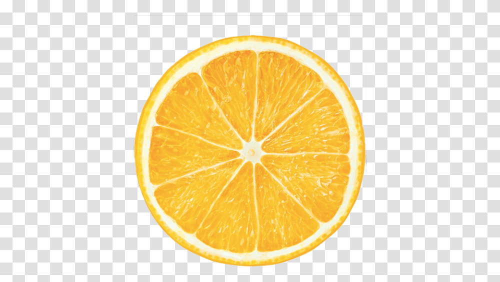 Slice Of Orange Background Lemon Slice, Citrus Fruit, Plant, Food, Grapefruit Transparent Png