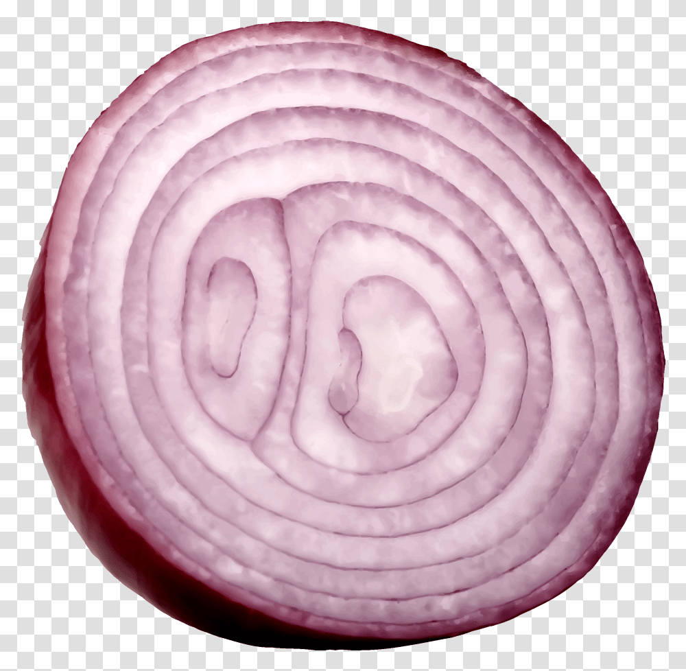 Slice Onion, Plant, Rose, Flower, Blossom Transparent Png